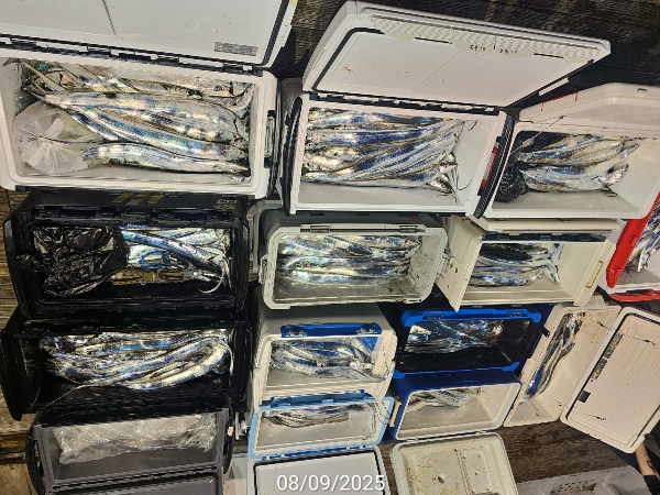 EF918974-69E5-4EF7-B594-224A5D397CFD.jpeg