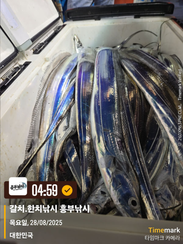 2025-08-28 04.59.17_대한민국_(제목-갈치.한치낚시 흥부낚시).jpg