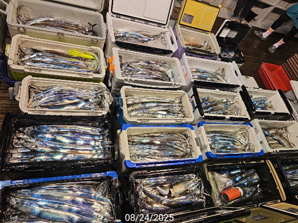 3D405223-DC74-4316-BB89-FF9E4815963C.jpeg