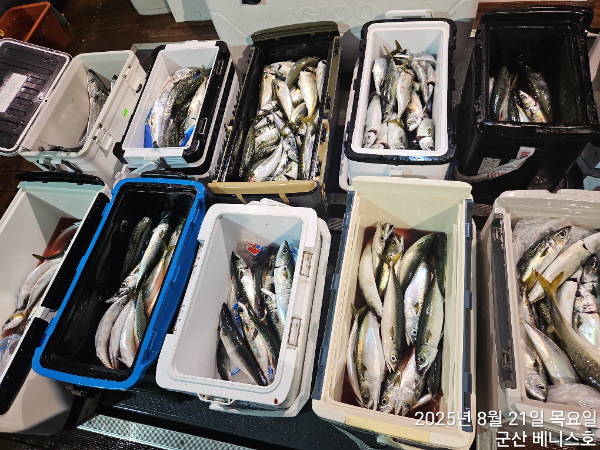 KakaoTalk_20250821_034010380_02.jpg