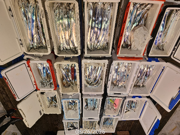 1000037681.jpg
