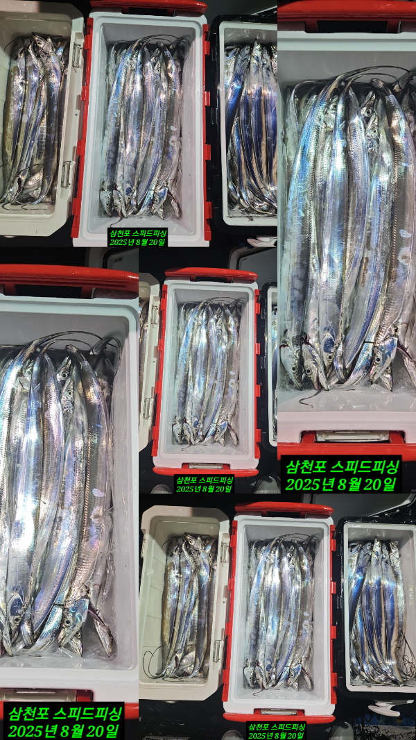 KakaoTalk_20250821_095456782_04.jpg