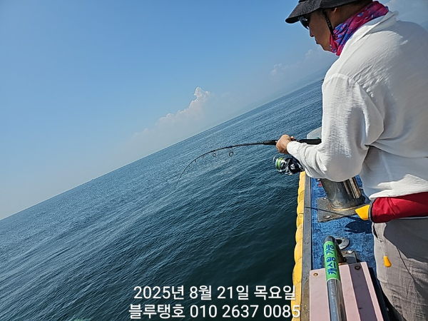 20250821_114023.jpg