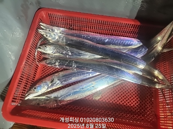 7e969e78ba4a8b78dfec67e12c245066.jpg