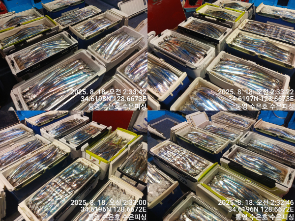 1755453055528-tile.jpg