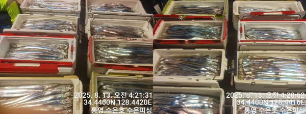 1755027075168-tile.jpg