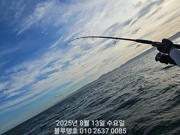 20250813_173511.jpg