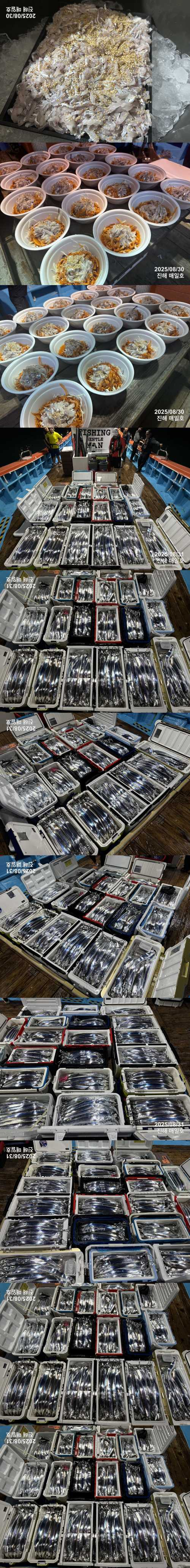 갈치5.jpg