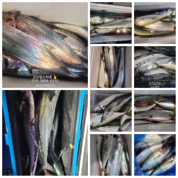 PhotoCollage_1755200003425.jpg