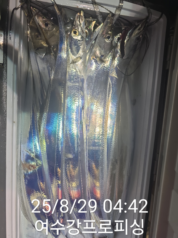 7fcfc3769a9c7bd9dc0158ec00c63c70.jpg