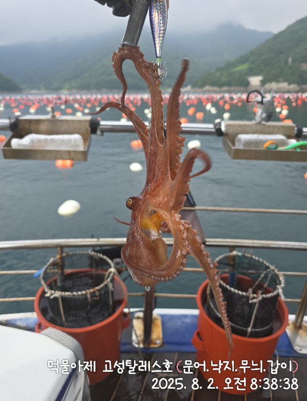 IMG_20250802_083838.jpg
