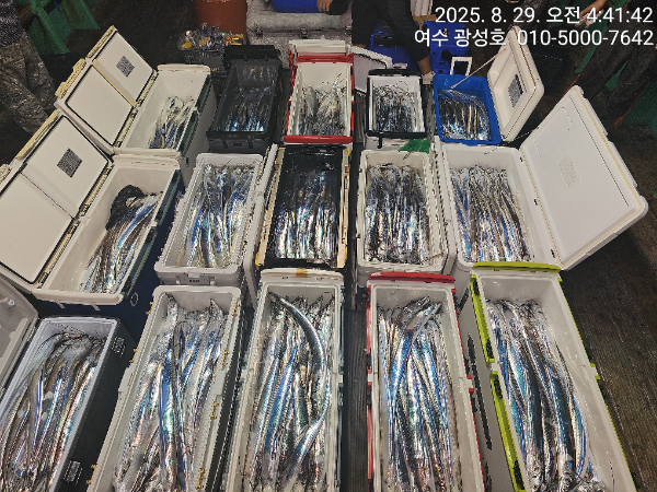 KakaoTalk_20250829_181212955_17.jpg