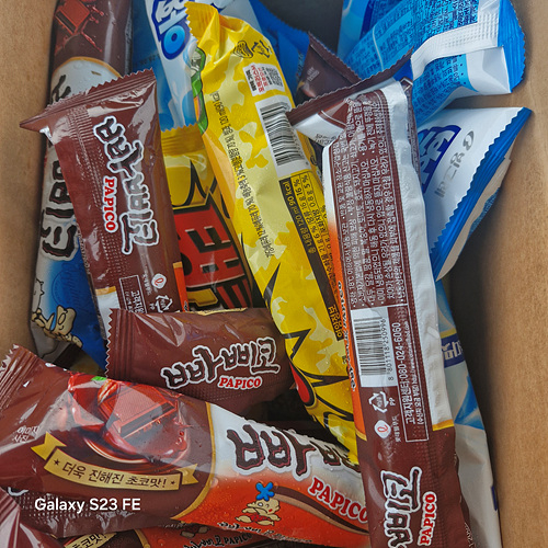 인천쭈꾸미낚시 (4).jpg