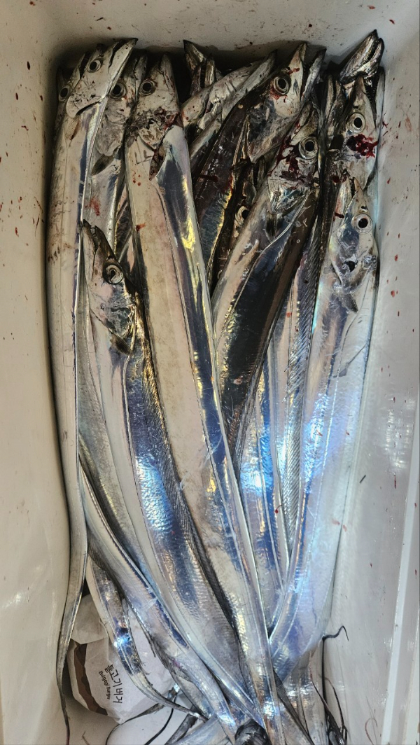 1000016981.jpg