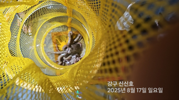 신신낚시 강구점 신신호_사진_20250817_16.jpg