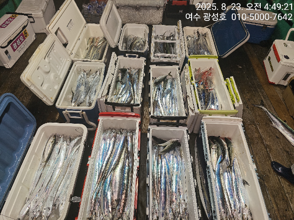KakaoTalk_20250823_172651676_12.jpg