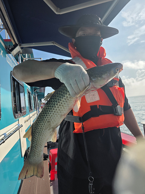 인천쭈꾸미낚시 (12).jpg