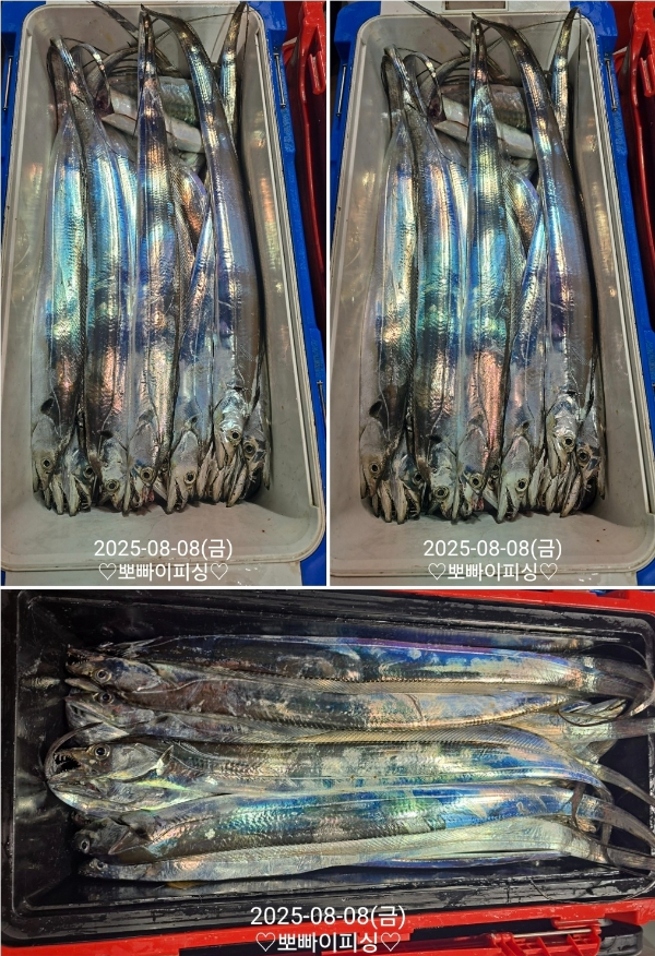 1754609180429.jpg