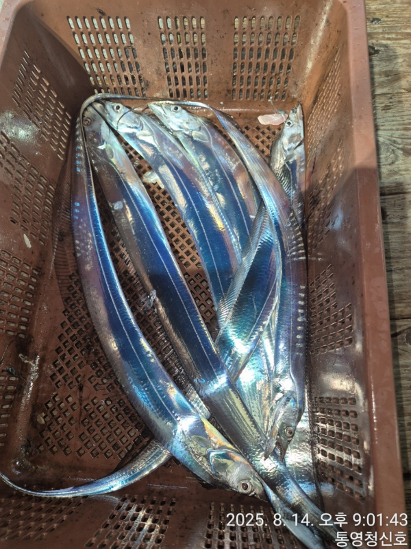 바다의 전설 부평25_사진_20250815_18.jpg