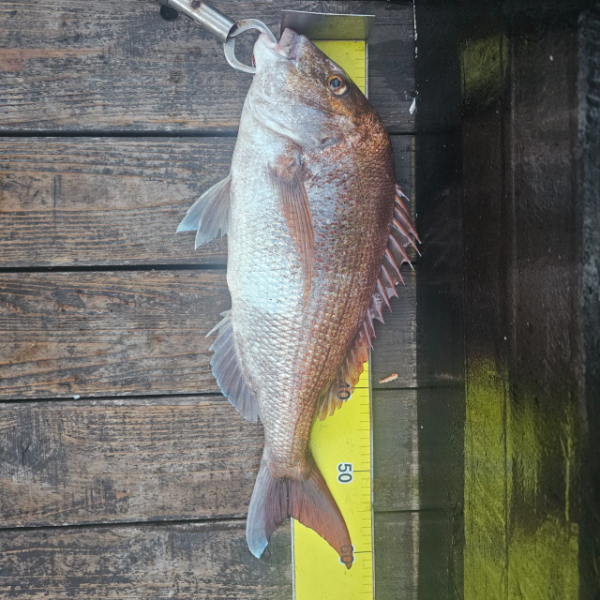 마검포 대한호(VIP)_사진_20250823_2.jpg