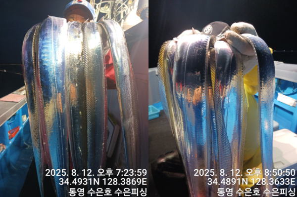 1755003693046-tile.jpg
