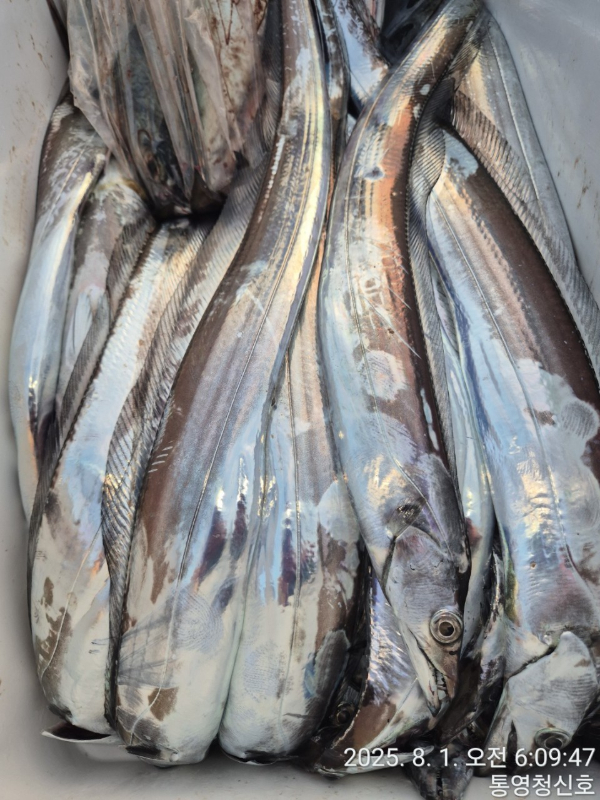 바다의 전설 부평25_사진_20250801_17.jpg