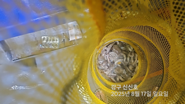 신신낚시 강구점 신신호_사진_20250817_14.jpg