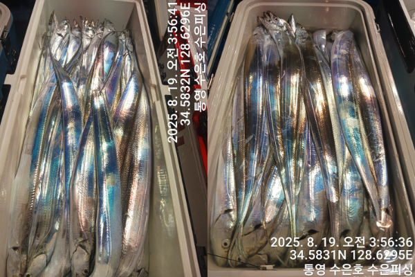 1755550104233-tile.jpg