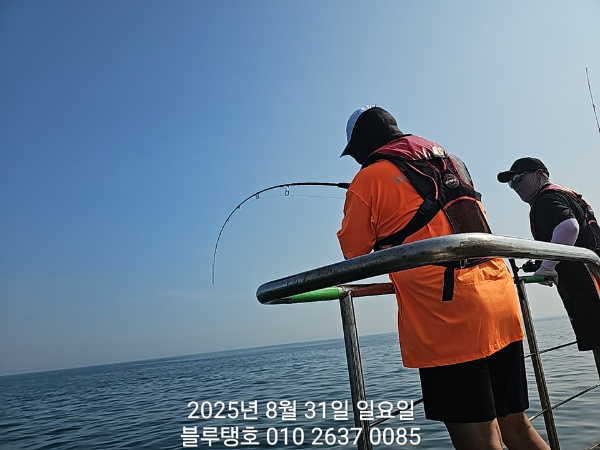 20250831_091554.jpg