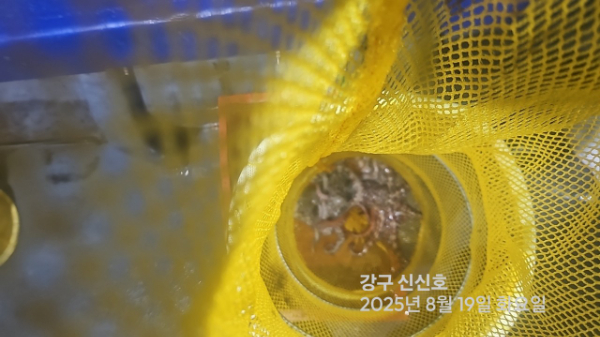 신신낚시 강구점 신신호_사진_20250820_11.jpg