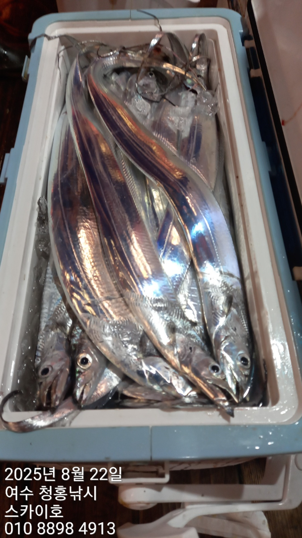 KakaoTalk_20250822_090654061_15.jpg