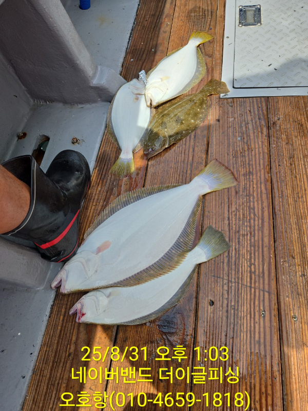 BandPhoto_2025_08_31_20_46_57_5.jpg