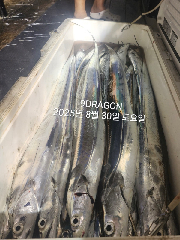 8616EC25-1B98-467E-8703-D19E2D6CDF15.jpeg