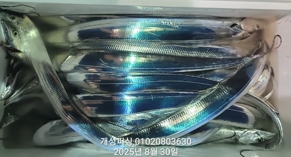 87c1d49b1b6f4255eb8d62db1da6c22f.jpg