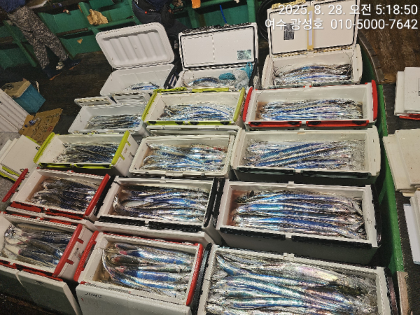 KakaoTalk_20250828_184111505_16.jpg