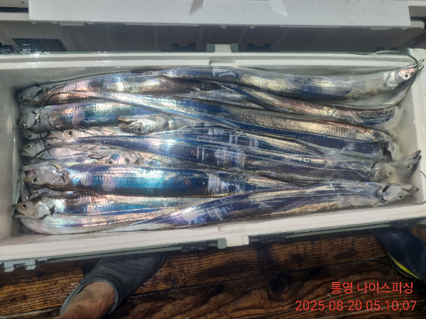 IMG_20250820_051007.jpg