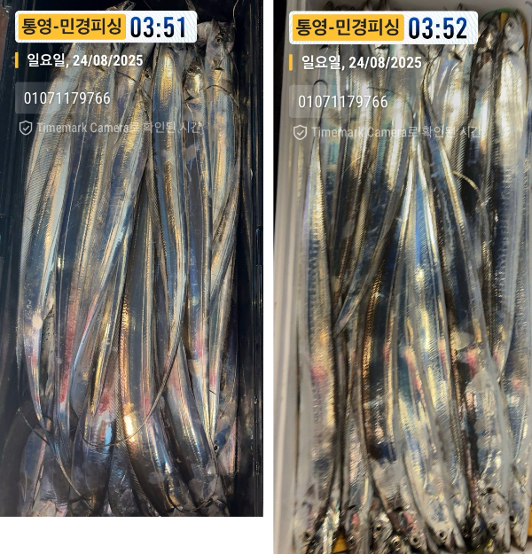 이미지.jpeg