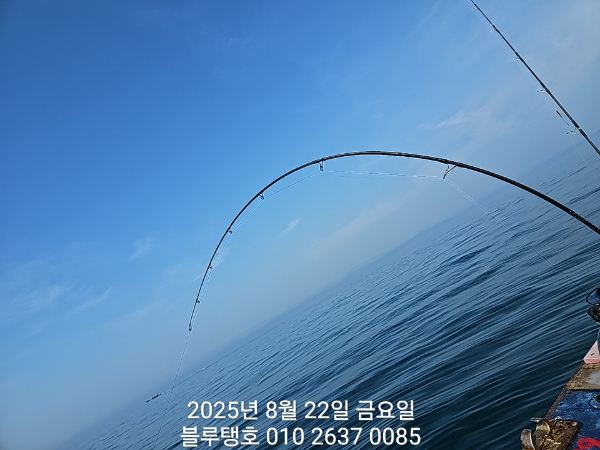 20250822_090932.jpg