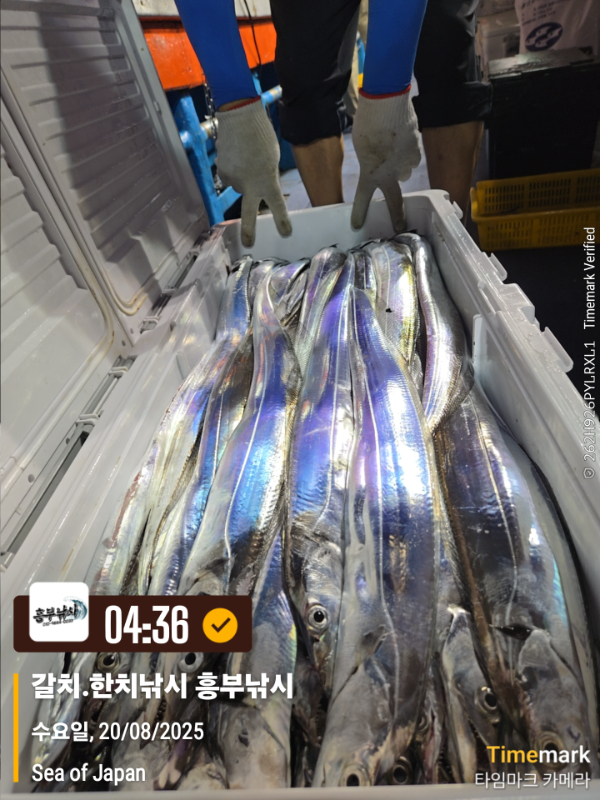 890f5dd4022b94b5f9a6a1af6d634389.jpg