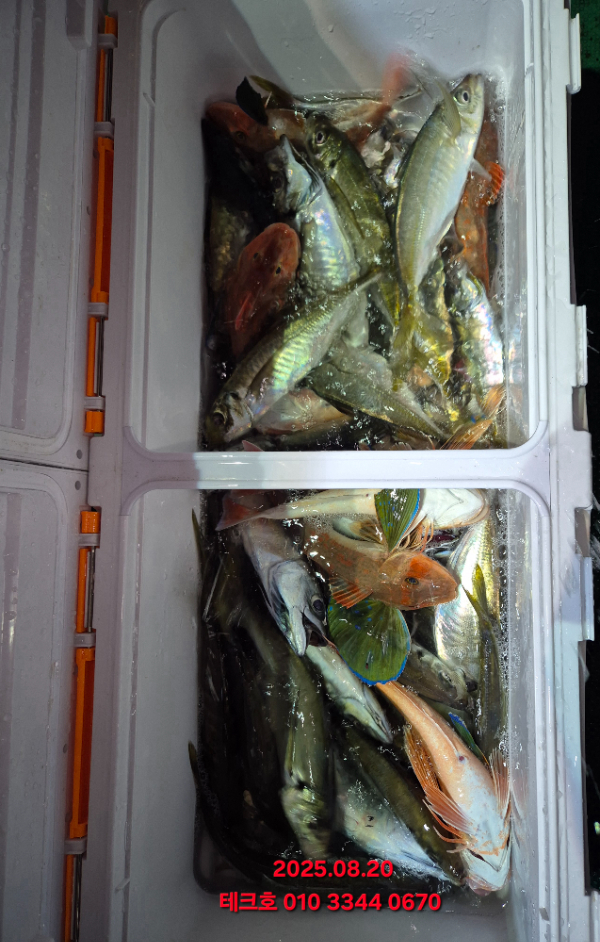 KakaoTalk_20250821_065613978_09.jpg