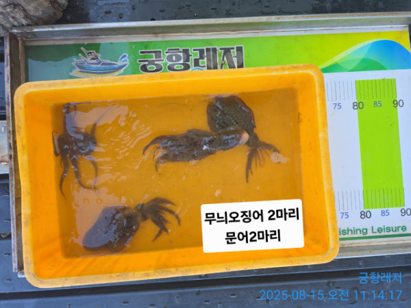 궁항레저_사진_20250815_3.jpg