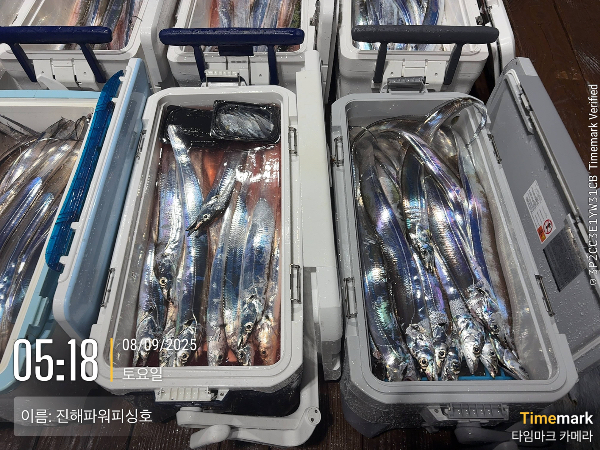 2025-08-09 05.18.25_(이름-진해파워피싱호).jpeg
