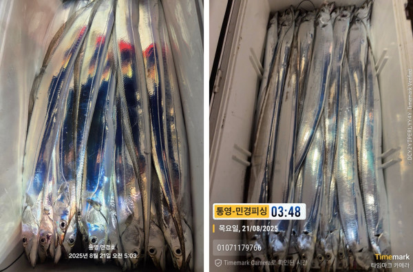 이미지.jpeg