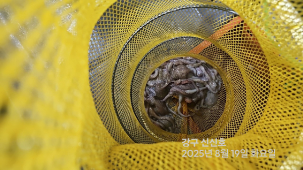 신신낚시 강구점 신신호_사진_20250819_1.jpg