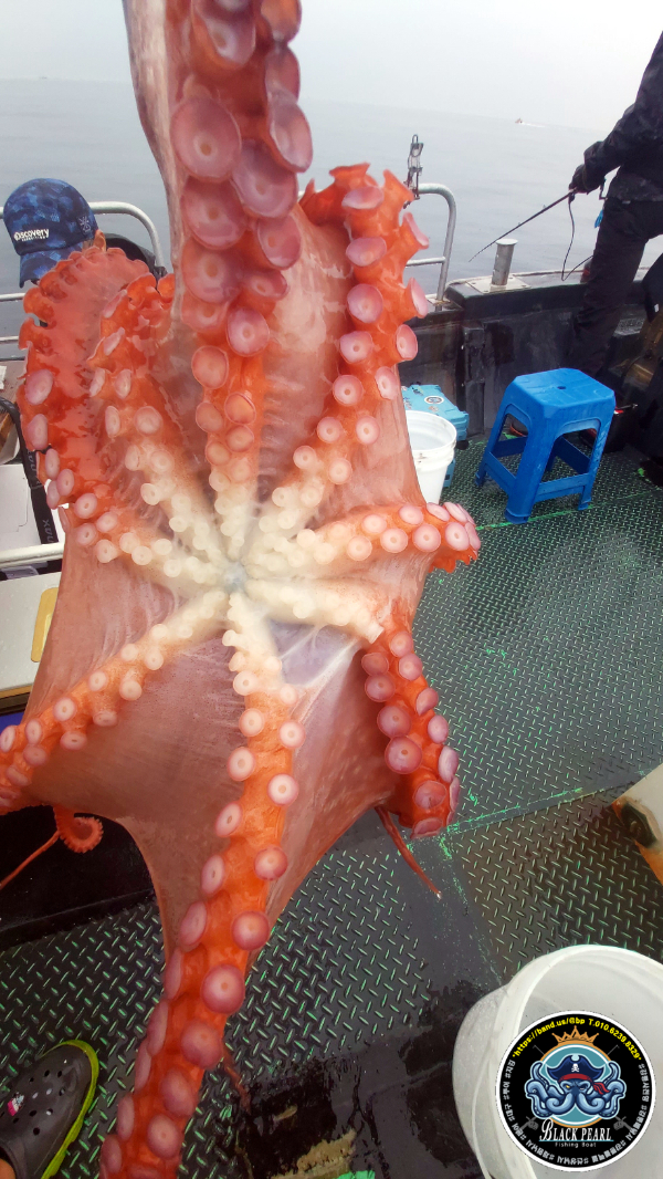 KakaoTalk_20250814_160325234_04.jpg
