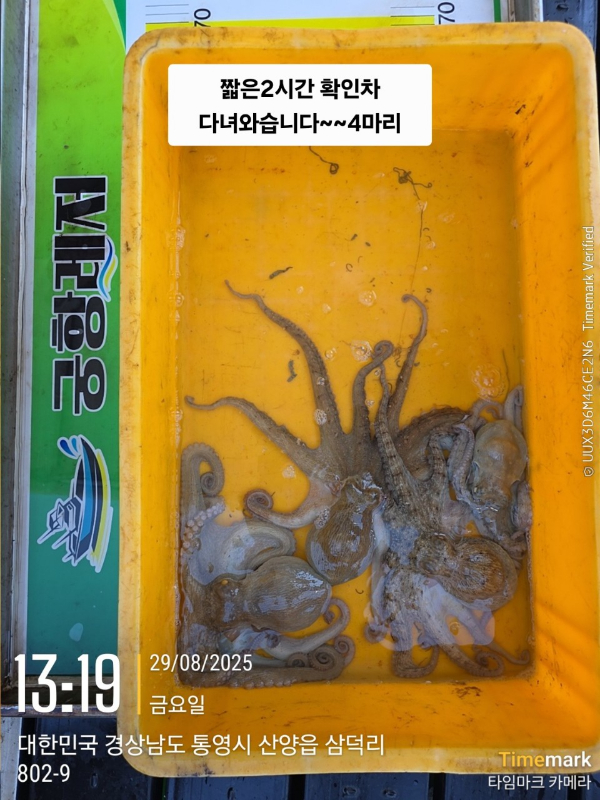 궁항레저_사진_20250829_3.jpg