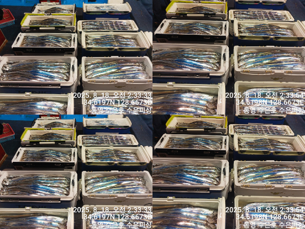 1755453055633-tile.jpg