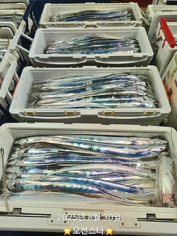 1000038628.jpg