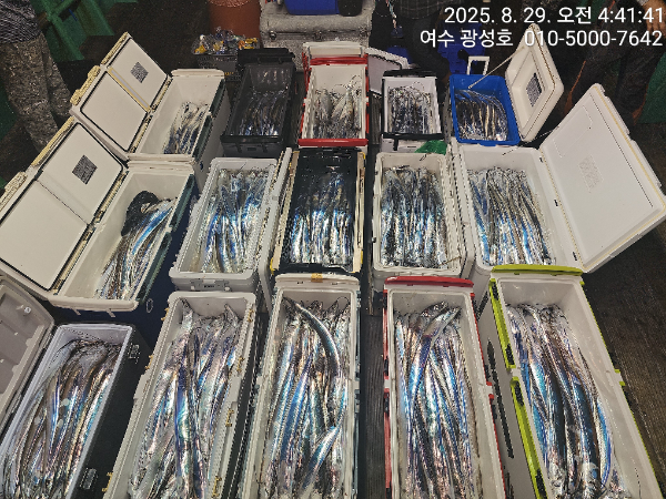 KakaoTalk_20250829_181212955_15.jpg