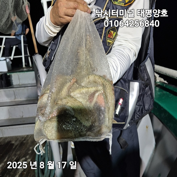 KakaoTalk_20250817_023046900_16.jpg